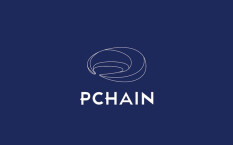 Pchain ICO — совместимая с EVM многоцелевая блокчейн-платформа