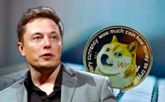 Tesla официально приступила к тестированию криптовалюты Dogecoin