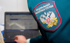 ФНС России намерена «плотно заниматься» криптовалютами