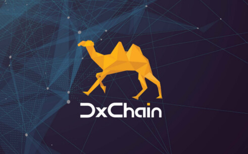 DxChain ICO — сеть для сбора больших объемов данных и машинного обучения