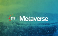 Обзор криптовалюты Metaverse ETP и список пулов для майнинга