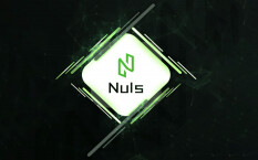 Nuls – адаптивный блокчейн для корпоративных решений