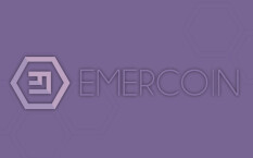 Криптовалюта Emercoin – гибкие блокчейн-сервисы с высокой безопасностью