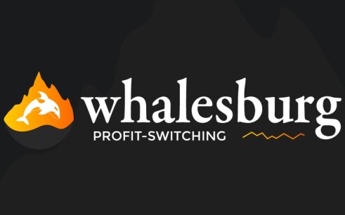 Обзор пула Whalesburg с концепцией Profit-switching